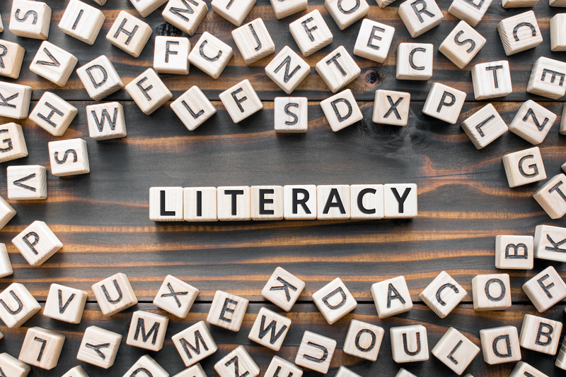 literacy - word from wooden blocks with letters